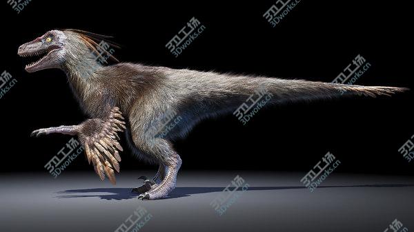 images/goods_img/20210312/3D model Velociraptor/5.jpg